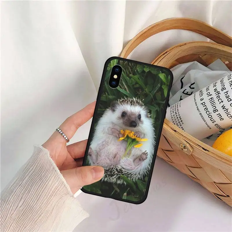 Hedgehog little cute animal Phone Case for iPhone 11 12 mini pro XS MAX 8 7 6 6S Plus X 5S SE 2020 XR high quality capa
Hedgehog little cute animal Phone Case for iPhone 11 12 mini pro XS MAX 8 7 6 6S Plus X 5S SE 2020 XR high quality capa