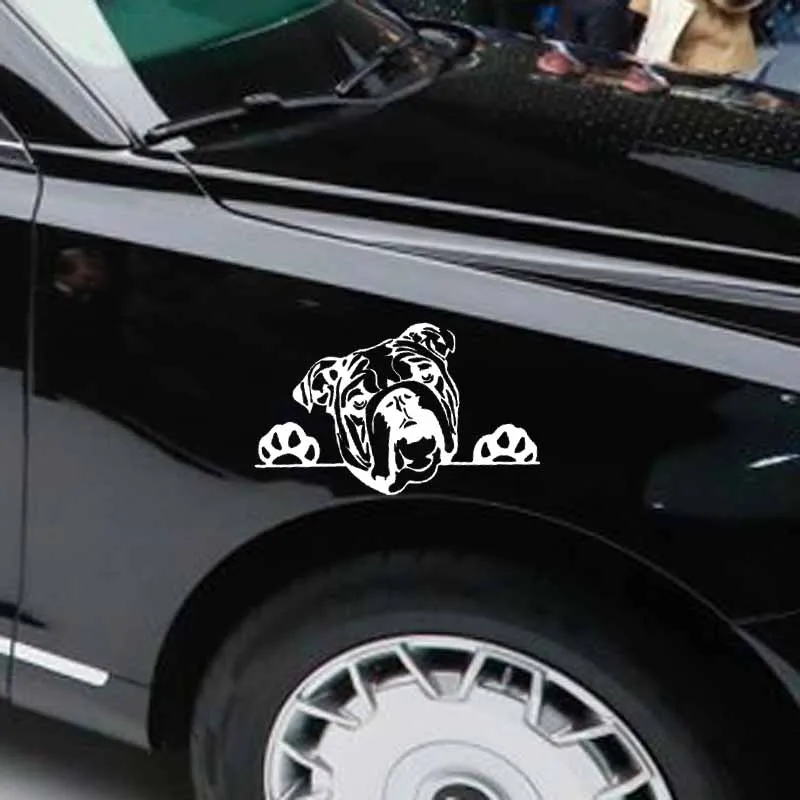 Car Sticker Motorcycle Sticker Old English Bulldog Bully Sticker PVC Waterproof Sunscreen Fun Pattern Black/Silver 16.2x9.7cm
Car Sticker Motorcycle Sticker Old English Bulldog Bully Sticker PVC Waterproof Sunscreen Fun Pattern Black/Silver 16.2x9.7cm