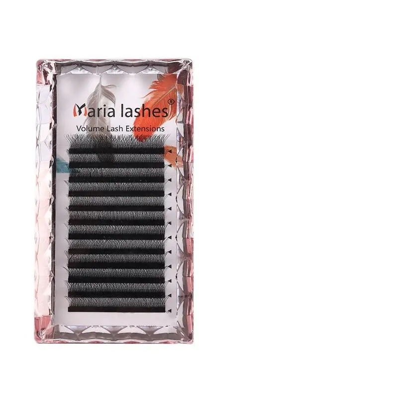 3D W Shaped Soft Lash Extension Supplies 0.05 Wholesale Beauty Natural Makeup Free Easy Fan Eyelashes Y Clusters 
3D W Shaped Soft Lash Extension Supplies 0.05 Wholesale Beauty Natural Makeup Free Easy Fan Eyelashes Y Clusters