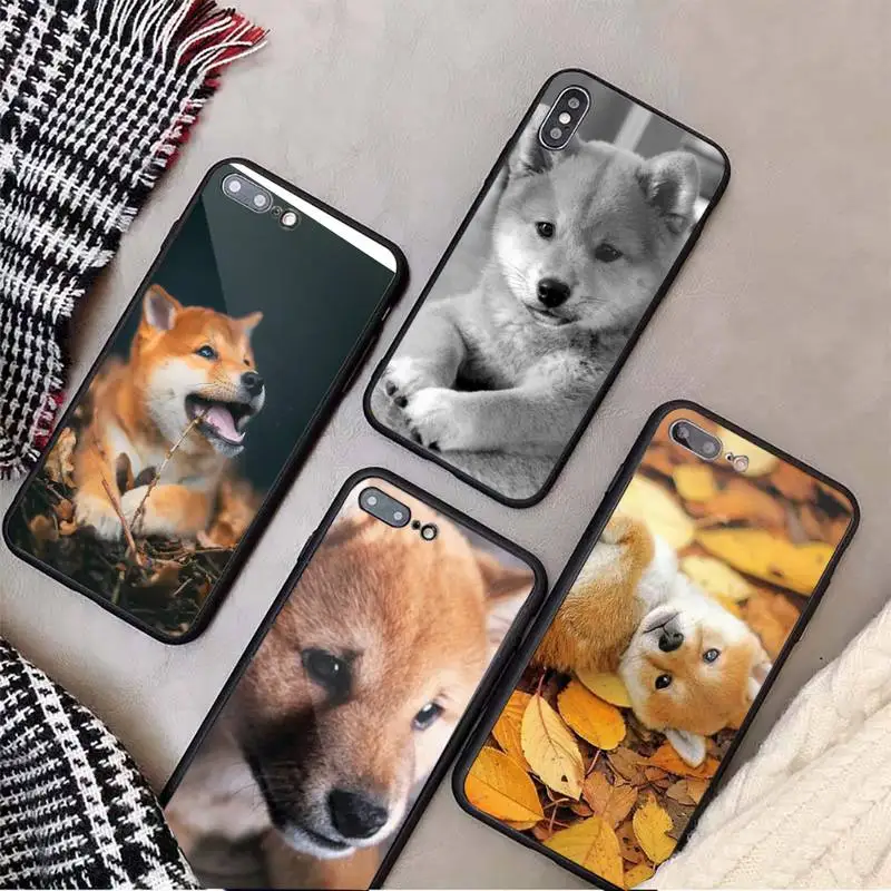 Cute animal Corgi Shiba inu Dog Phone Case Tempered glass For iphone 6 7 8 plus X XS XR 11 12 13 PRO MAX mini
Cute animal Corgi Shiba inu Dog Phone Case Tempered glass For iphone 6 7 8 plus X XS XR 11 12 13 PRO MAX mini