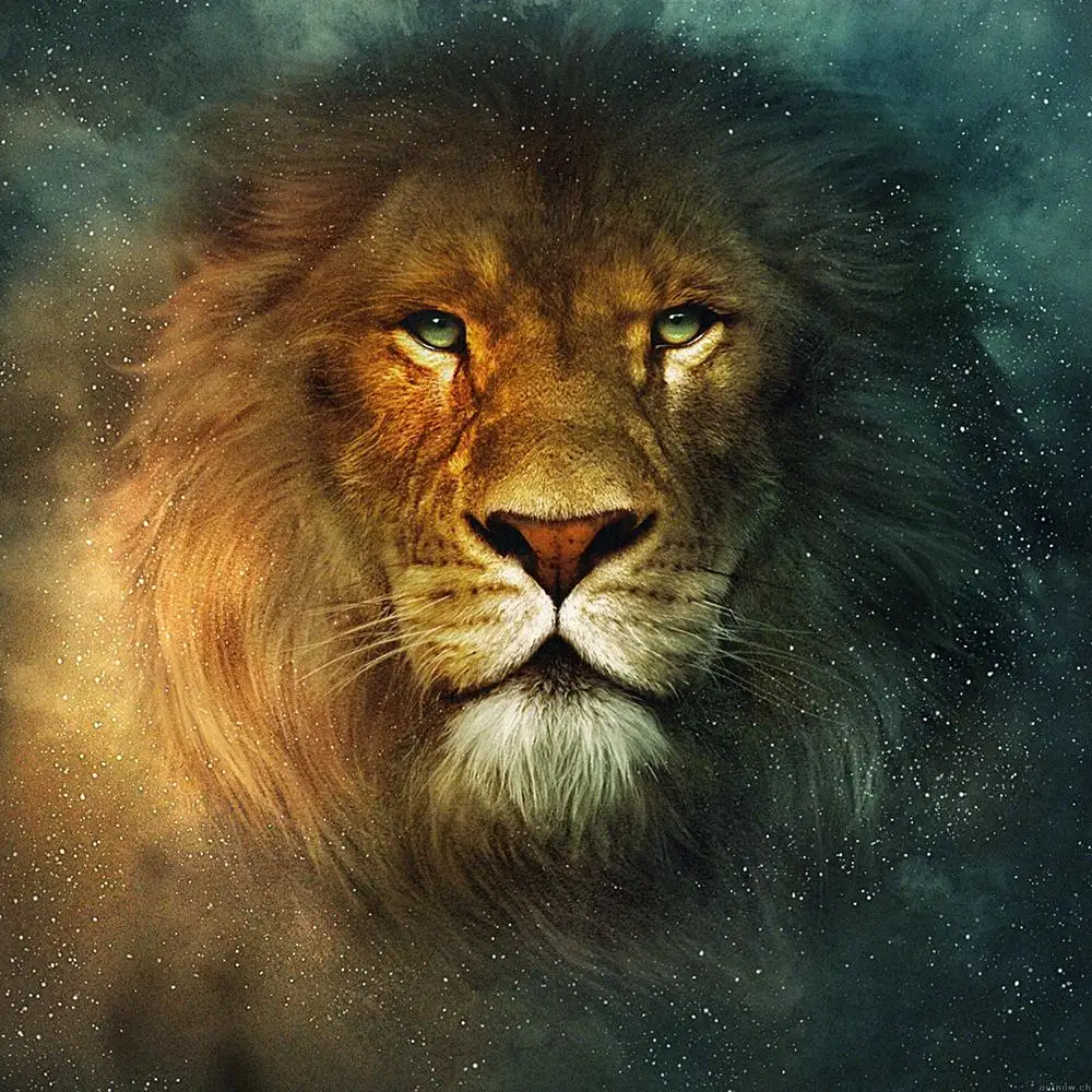 Dpsprue 5D Diamond Painting Kit Full Square/Round Animal Lion Pictures Of Rhinestones Diamond Embroidery Diamond Mosaic Gift
Dpsprue 5D Diamond Painting Kit Full Square/Round Animal Lion Pictures Of Rhinestones Diamond Embroidery Diamond Mosaic Gift