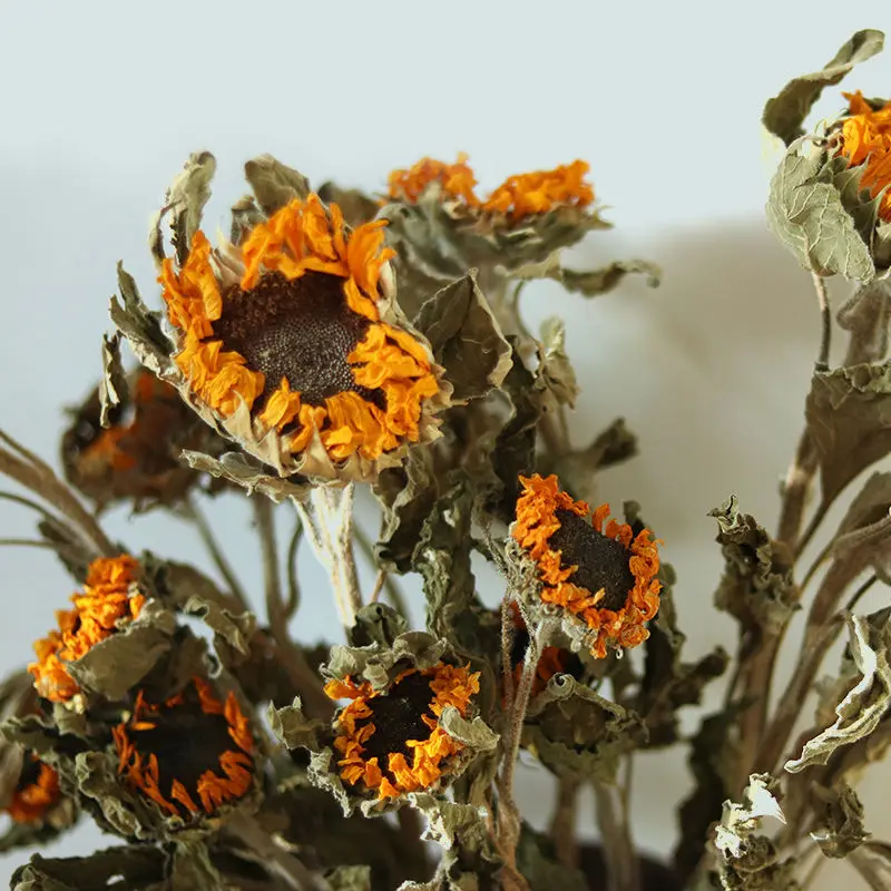 1pcs Sunflower Bouquet Wholesale Home Ceilings Living Room Decoration Gedroogde Bloemen Display Shooting Props Dried Flowers 
1pcs Sunflower Bouquet Wholesale Home Ceilings Living Room Decoration Gedroogde Bloemen Display Shooting Props Dried Flowers