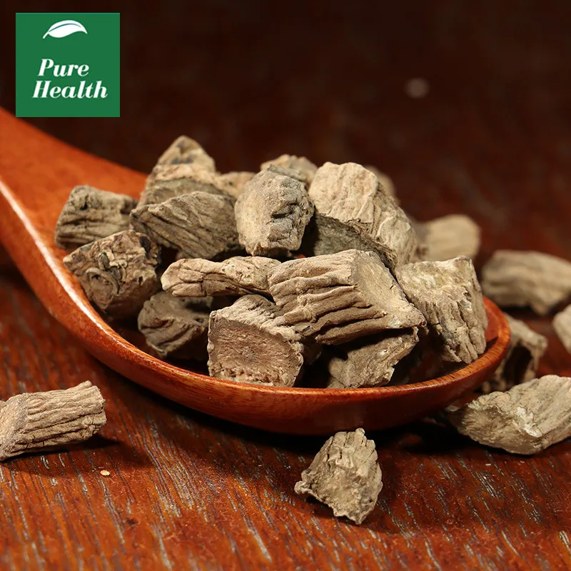 Dipsacus Root (Xu Duan)Radix Dipsaci
Dipsacus Root (Xu Duan)Radix Dipsaci