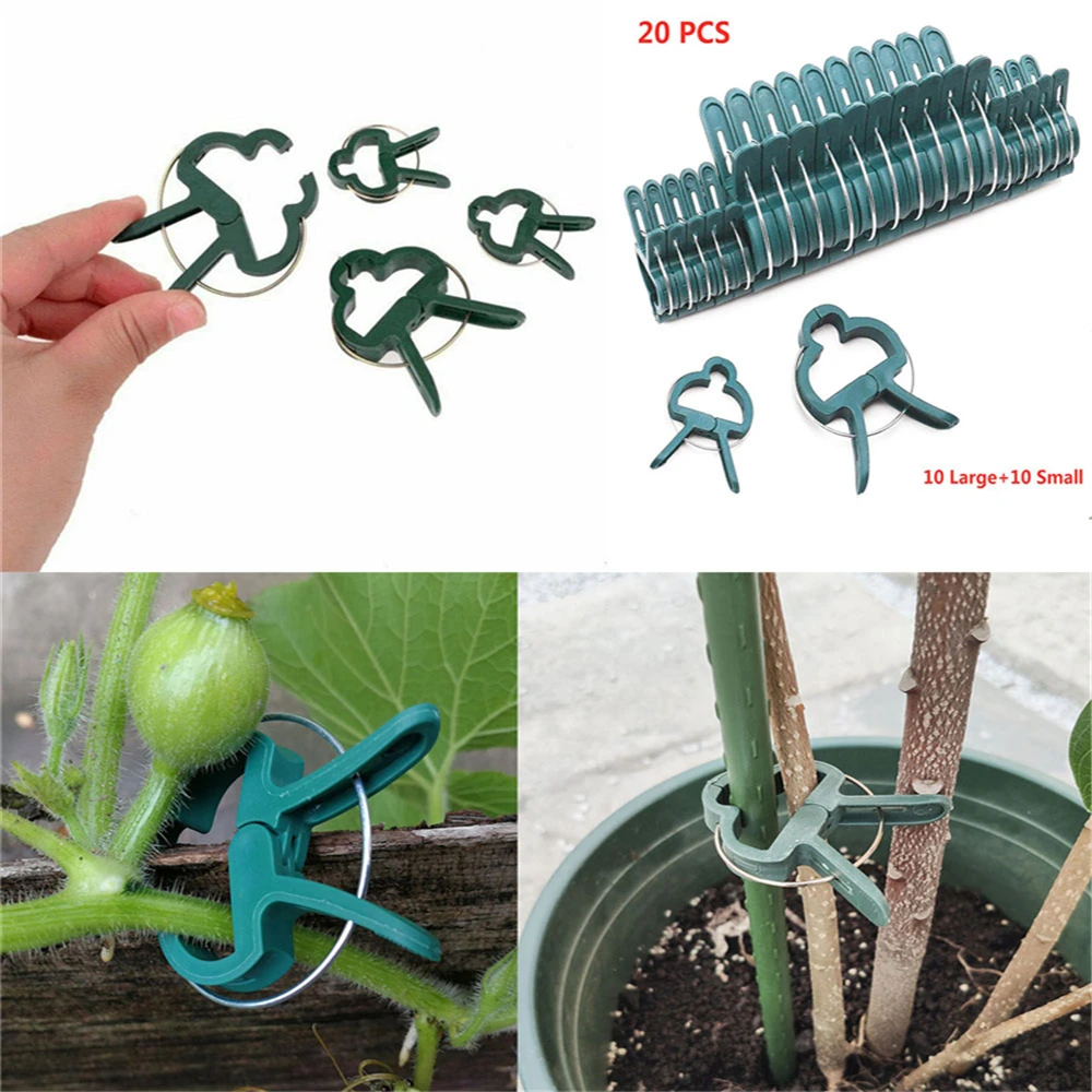 20pcs Grafting Clips Greenhouse Clamp Stand Plastic Plant Clip Fastener Bracket Fixed Seed Stem Support Plant Vegetable Grafting
20pcs Grafting Clips Greenhouse Clamp Stand Plastic Plant Clip Fastener Bracket Fixed Seed Stem Support Plant Vegetable Grafting
