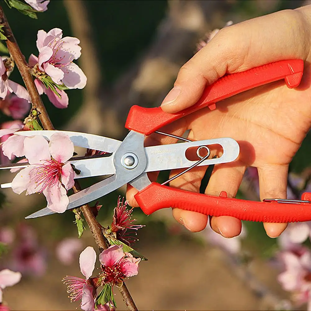 Double-port Fruit Thinning Shears Gardening Tree Pruning Tool flower thinning shears Double-mouth fruit thinning shears
Double-port Fruit Thinning Shears Gardening Tree Pruning Tool flower thinning shears Double-mouth fruit thinning shears