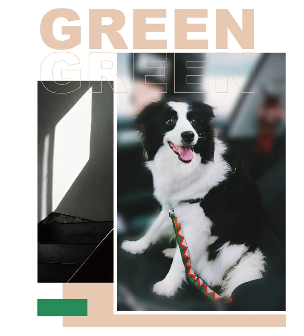 Colorful Series Pet Car Safety Belt Design For Medium And Large Dogs Adjustable Car Belt
Colorful Series Pet Car Safety Belt Design For Medium And Large Dogs Adjustable Car Belt