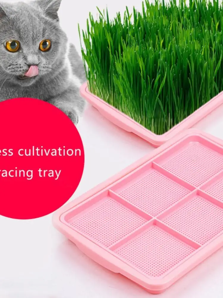 Pet Cat Hydroponic Cat Mint Grass Practical Soilless Cultivation for Gardening BonsaiPlanting Box Easy Cleaning Replacing
Pet Cat Hydroponic Cat Mint Grass Practical Soilless Cultivation for Gardening BonsaiPlanting Box Easy Cleaning Replacing