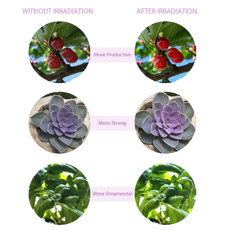 LED Grow Light USB Phyto led lamp Full Spectrum Fitolamp With Control For Plants Seedlings Flower Home Phytotape dropshipping
LED Grow Light USB Phyto led lamp Full Spectrum Fitolamp With Control For Plants Seedlings Flower Home Phytotape dropshipping