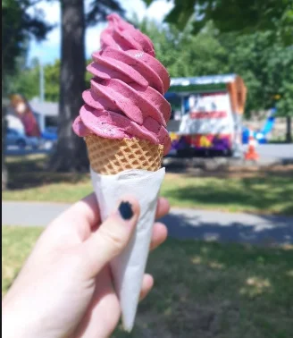 Multi-function Frozen Yogurt Swirl Freezer Fruit Ice Cream Blender Fresh New Zealand Real Fruit Ice Cream Machine
Multi-function Frozen Yogurt Swirl Freezer Fruit Ice Cream Blender Fresh New Zealand Real Fruit Ice Cream Machine