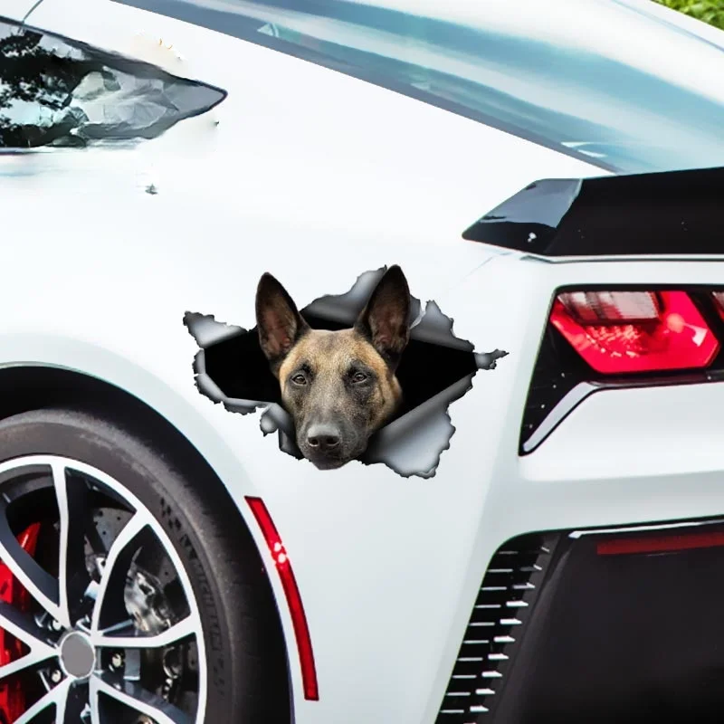 13*9cm Belgian Malinois Car-Sticker Automobiles Motorcycles Window Bumper Laptop Vinyl Decal PVC Decorative Goods
13*9cm Belgian Malinois Car-Sticker Automobiles Motorcycles Window Bumper Laptop Vinyl Decal PVC Decorative Goods