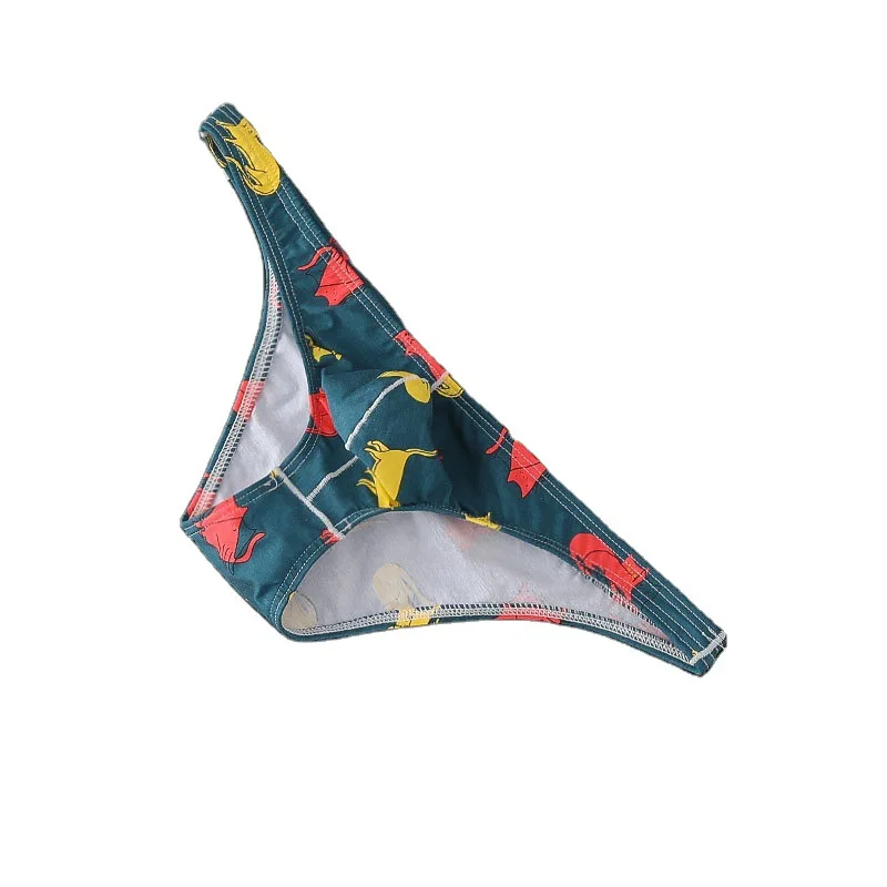 2021 Sexy Briefs Brand Men Sexy Briefs Men Printed Triangle Pouch U Low Waist Cotton Fashion Gay Underwear Male Underpants
2021 Sexy Briefs Brand Men Sexy Briefs Men Printed Triangle Pouch U Low Waist Cotton Fashion Gay Underwear Male Underpants