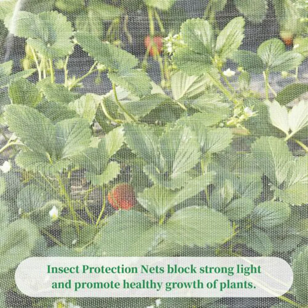 Greenhouse Protective Net Fruit Vegetables Frost Care Cover Insect Net Plant Cover Net Garden Pest Control Plant Potection Net
Greenhouse Protective Net Fruit Vegetables Frost Care Cover Insect Net Plant Cover Net Garden Pest Control Plant Potection Net