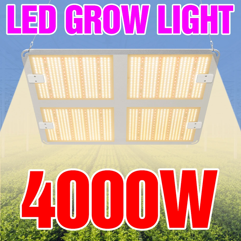1000W 2000W 4000W Led Plant Light 110V Grow Lamp 220V Phyto Bulbs Full Spectrum Hydroponic Lighting Growing Lamp Panel US EU UK
1000W 2000W 4000W Led Plant Light 110V Grow Lamp 220V Phyto Bulbs Full Spectrum Hydroponic Lighting Growing Lamp Panel US EU UK