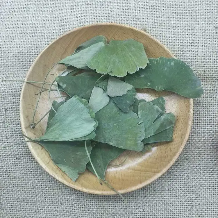 Natural Wild Ginkgo Leaf Product Detoxification Ginkgo Tea Health Care For Lower Blood Pressure Weight Lose Tea
Natural Wild Ginkgo Leaf Product Detoxification Ginkgo Tea Health Care For Lower Blood Pressure Weight Lose Tea