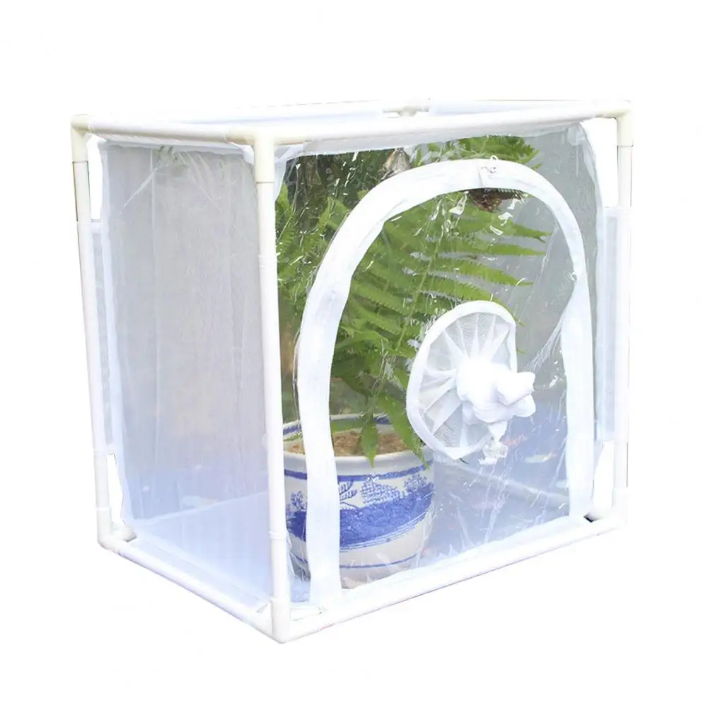 Plant Mesh Cage Wear Resistant Collapsible PVC Plant Small Animal Observation Net Cage Garden Supplies 40cm x 30cm x 30cm
Plant Mesh Cage Wear Resistant Collapsible PVC Plant Small Animal Observation Net Cage Garden Supplies 40cm x 30cm x 30cm