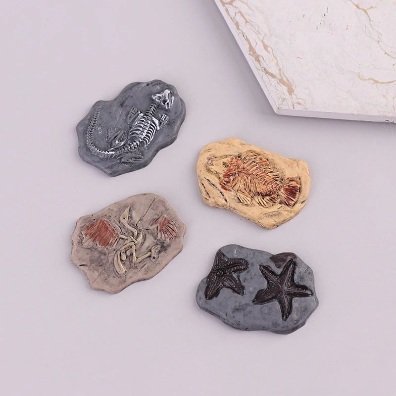 5pcs Resin Vintage Simulation Dinosaur Fossil Flatback Cabochon Character Resins Phone Decoration DIY Scrapbooking Accessories
5pcs Resin Vintage Simulation Dinosaur Fossil Flatback Cabochon Character Resins Phone Decoration DIY Scrapbooking Accessories