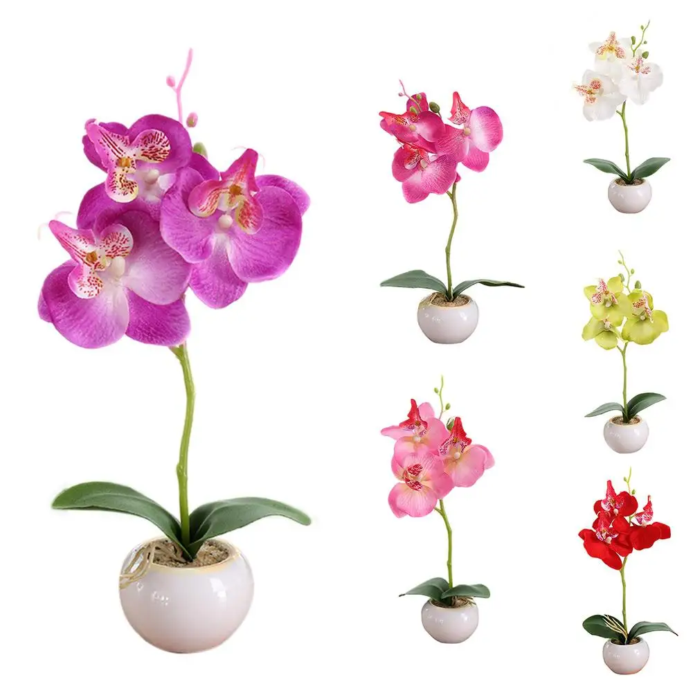 HOT SALES!!!New Arrival 1Pc Potted Artificial Butterfly Orchid Flower Stage Garden Wedding Party Decor Wholesale Dropshipping
HOT SALES!!!New Arrival 1Pc Potted Artificial Butterfly Orchid Flower Stage Garden Wedding Party Decor Wholesale Dropshipping