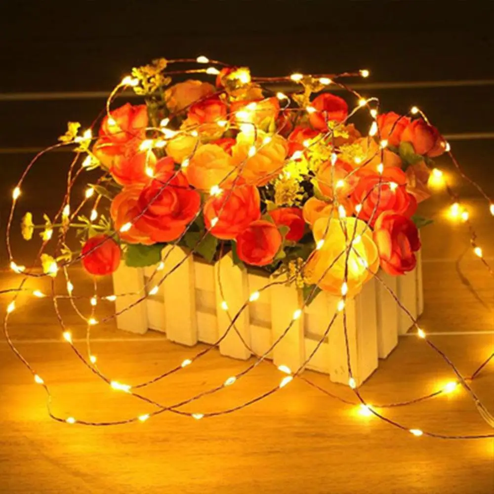 Fairy Lights Light String Manual Switch 1 Lighting Mode Warm Romantic Modern Creative Waterproof Christmas Decoration
Fairy Lights Light String Manual Switch 1 Lighting Mode Warm Romantic Modern Creative Waterproof Christmas Decoration
