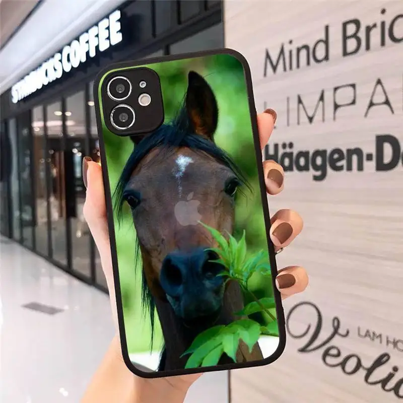 animal Running horse art Phone Case Matte Transparent for iPhone 7 8 11 12 s mini pro X XS XR MAX Plus cover funda
animal Running horse art Phone Case Matte Transparent for iPhone 7 8 11 12 s mini pro X XS XR MAX Plus cover funda