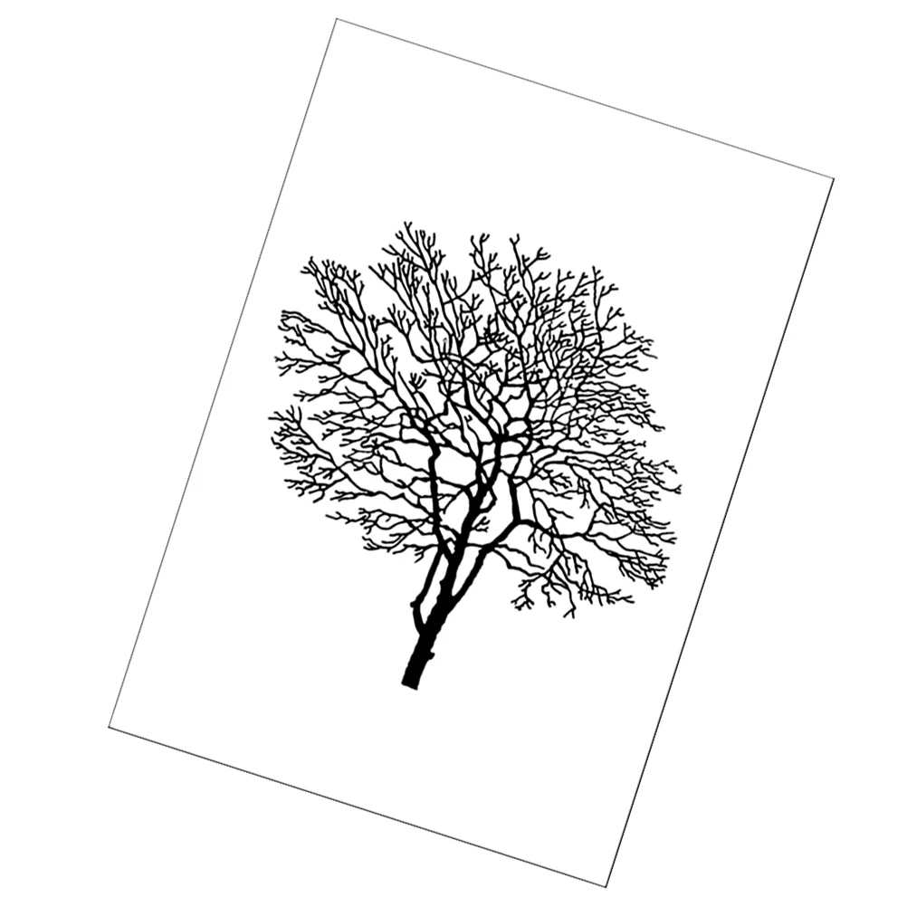 1pc Simple Black and White Plant Hanging Paintings Creative Wall Painting for Home Living Room without Frame 36x28cm(White)
1pc Simple Black and White Plant Hanging Paintings Creative Wall Painting for Home Living Room without Frame 36x28cm(White)