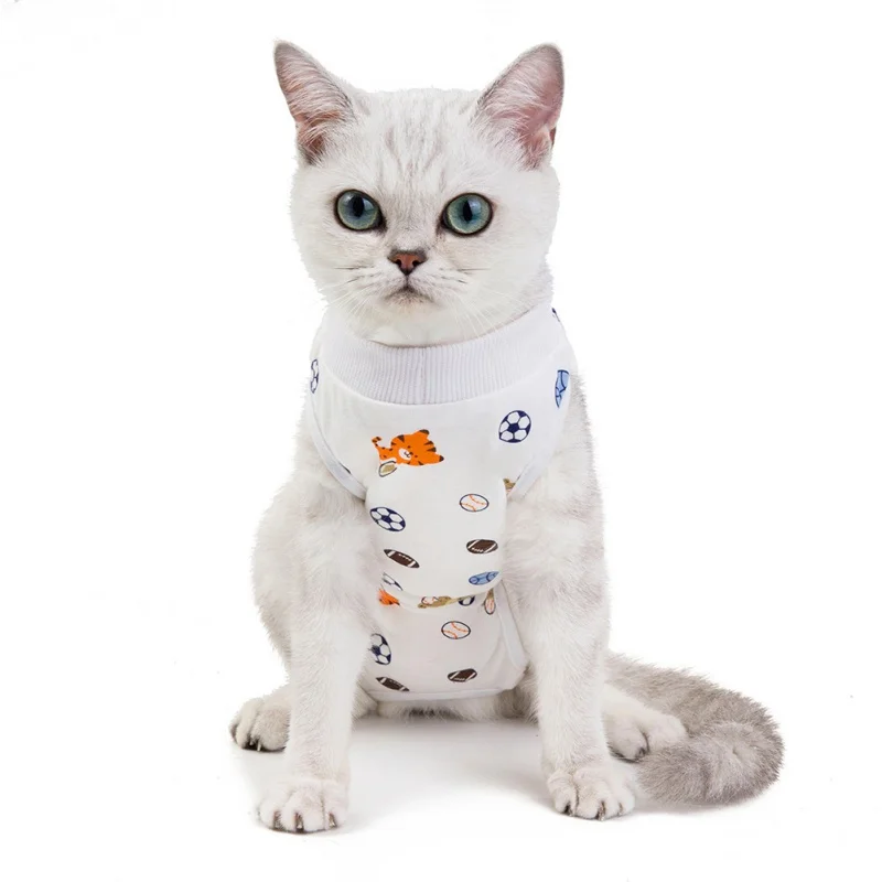 New Pet Cat Postoperative Recovery Clothing Cat Clothes Anti-licking Recovery Weaning Clothes Strawberry Costume Cute Cozy Cats
New Pet Cat Postoperative Recovery Clothing Cat Clothes Anti-licking Recovery Weaning Clothes Strawberry Costume Cute Cozy Cats