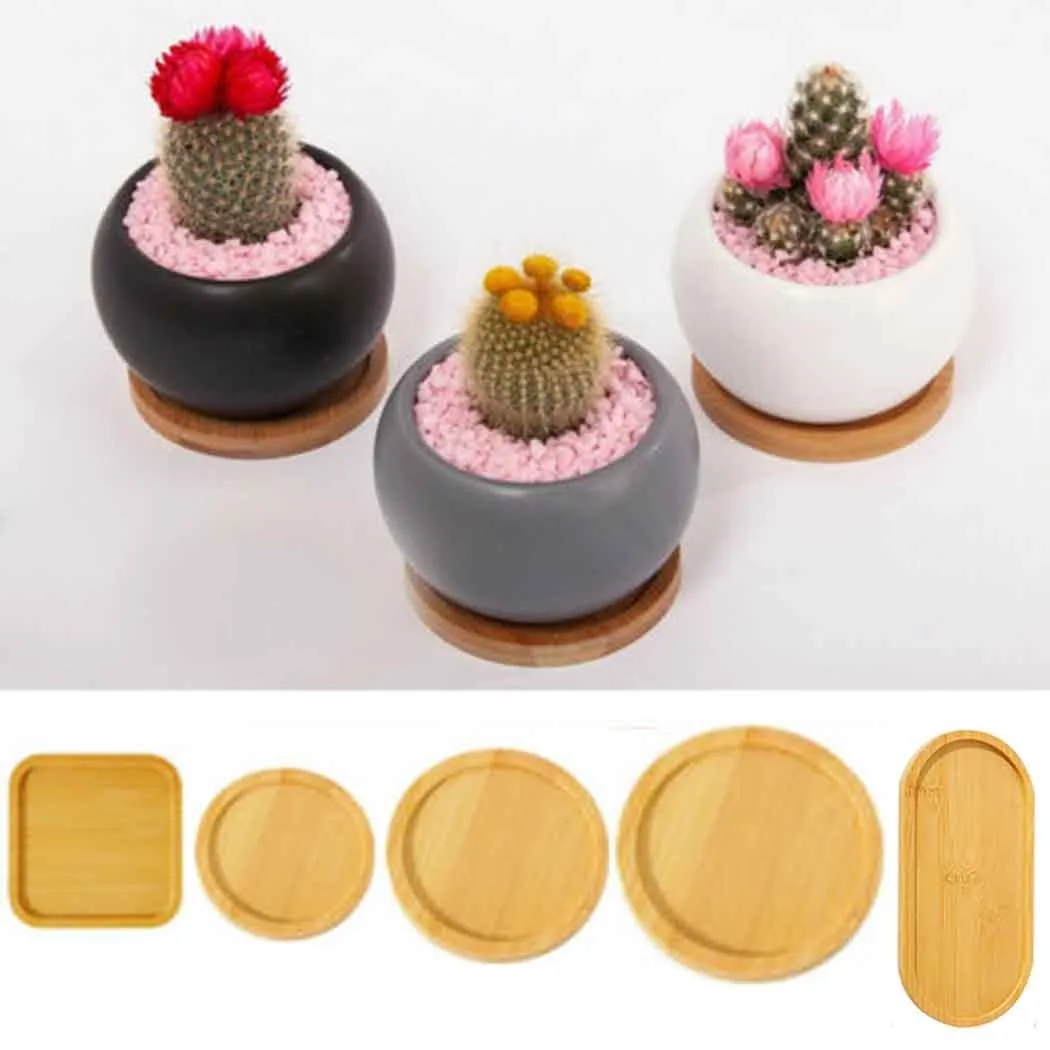 Gardening Tool Flowerpot Trays Indoor Succulents Tray Outdoor Plant Plastic Pot Pot Holder Saucer
Gardening Tool Flowerpot Trays Indoor Succulents Tray Outdoor Plant Plastic Pot Pot Holder Saucer