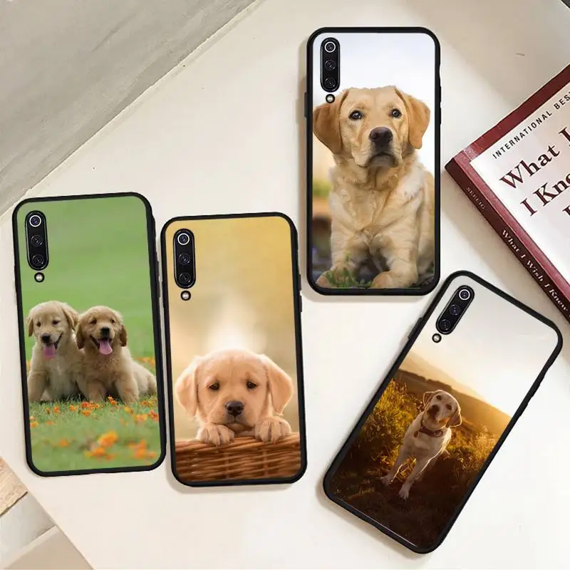 Labrador Puppies Dog animal Phone Case For Xiaomi Redmi note 7 8 9 t s 10 A pro lite funda shell coque cover
Labrador Puppies Dog animal Phone Case For Xiaomi Redmi note 7 8 9 t s 10 A pro lite funda shell coque cover