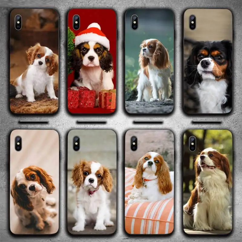 Charles Spaniel Dog Lovely animal Phone Case For iphone 12 11 13 7 8 6 s plus x xs xr pro max mini
Charles Spaniel Dog Lovely animal Phone Case For iphone 12 11 13 7 8 6 s plus x xs xr pro max mini