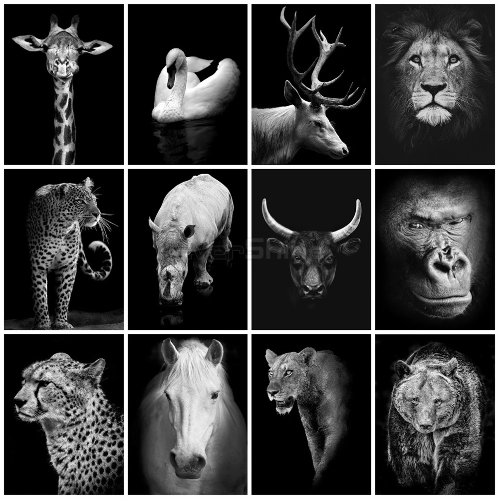 EverShine Diamond Painting Black white animals Diamond Embroidery swan Cross stitch Rhinestones Art Bead Picture Kits Wall decor
EverShine Diamond Painting Black white animals Diamond Embroidery swan Cross stitch Rhinestones Art Bead Picture Kits Wall decor