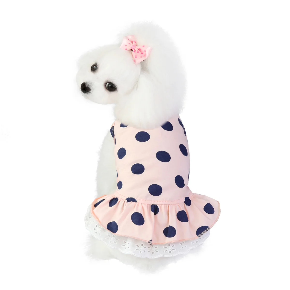 Pet Dog Clothes For Small Dogs Clothing Warm Clothing for Dogs Dress Puppy Outfit Pet Clothes for Large Dog Hoodies Chihuahua
Pet Dog Clothes For Small Dogs Clothing Warm Clothing for Dogs Dress Puppy Outfit Pet Clothes for Large Dog Hoodies Chihuahua