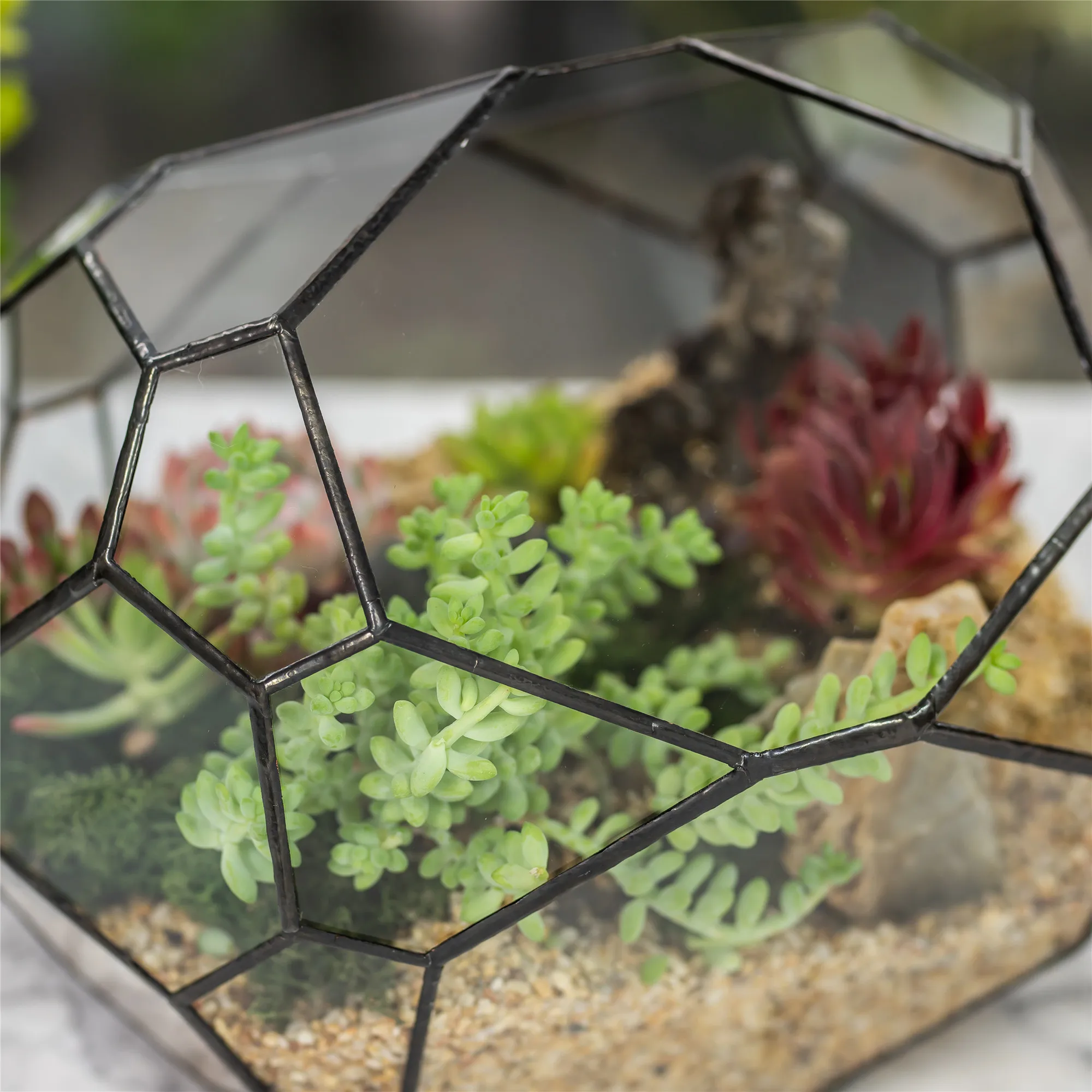 Irregular Open Geometric Glass Terrarium Bubble Shape for Succulents Landscape Bonsai
Irregular Open Geometric Glass Terrarium Bubble Shape for Succulents Landscape Bonsai