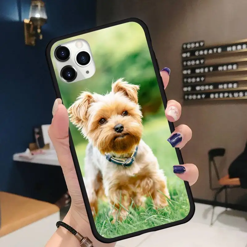 Yorkshire terrier dog PUPPY Phone Case for iPhone 11 12 pro XS MAX 8 7 6 6S Plus X 5S SE 2020 XR Soft silicone
Yorkshire terrier dog PUPPY Phone Case for iPhone 11 12 pro XS MAX 8 7 6 6S Plus X 5S SE 2020 XR Soft silicone