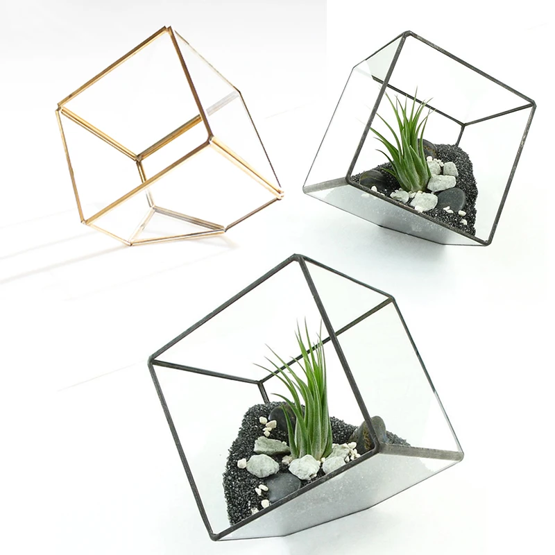 Irregular Glass Geometric Terrarium Box Tabletop Succulent Plant Planter Case Hot Selling
Irregular Glass Geometric Terrarium Box Tabletop Succulent Plant Planter Case Hot Selling