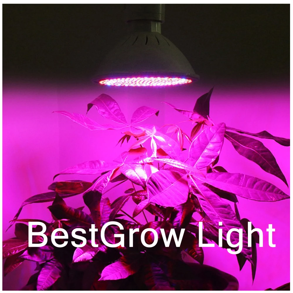 60W LED Grow Light Full Spectrum 200Led 85-265V Vegetable Seedling Fill Light Succulent Phyto Lamp Factory Direct Selling
60W LED Grow Light Full Spectrum 200Led 85-265V Vegetable Seedling Fill Light Succulent Phyto Lamp Factory Direct Selling