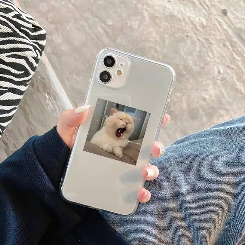 Cute Cat Phone Case For iphone 12 11 8 7 6s 6 5 5s 5c se plus mini x xs xr pro max Transparent soft
Cute Cat Phone Case For iphone 12 11 8 7 6s 6 5 5s 5c se plus mini x xs xr pro max Transparent soft