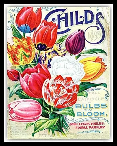 N/C Corn Celery Beans Carrot Chili Vegetable Theme Catalogue Cover Garden Farm Kitchen Wall Decor Metal Sign 8x12 Inch
N/C Corn Celery Beans Carrot Chili Vegetable Theme Catalogue Cover Garden Farm Kitchen Wall Decor Metal Sign 8x12 Inch