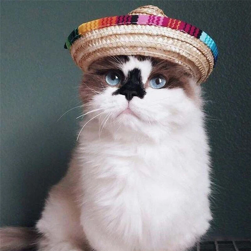 Соломенная шляпа для домашних животных цветная соломенная собак и кошек