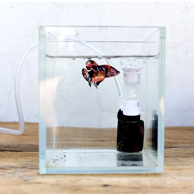 Ultra-Quiet Fish Tank Small Pneumatic Filter Water Purification Tool Submersible Oxygen Fish Aquarium Pump Kit
Ultra-Quiet Fish Tank Small Pneumatic Filter Water Purification Tool Submersible Oxygen Fish Aquarium Pump Kit