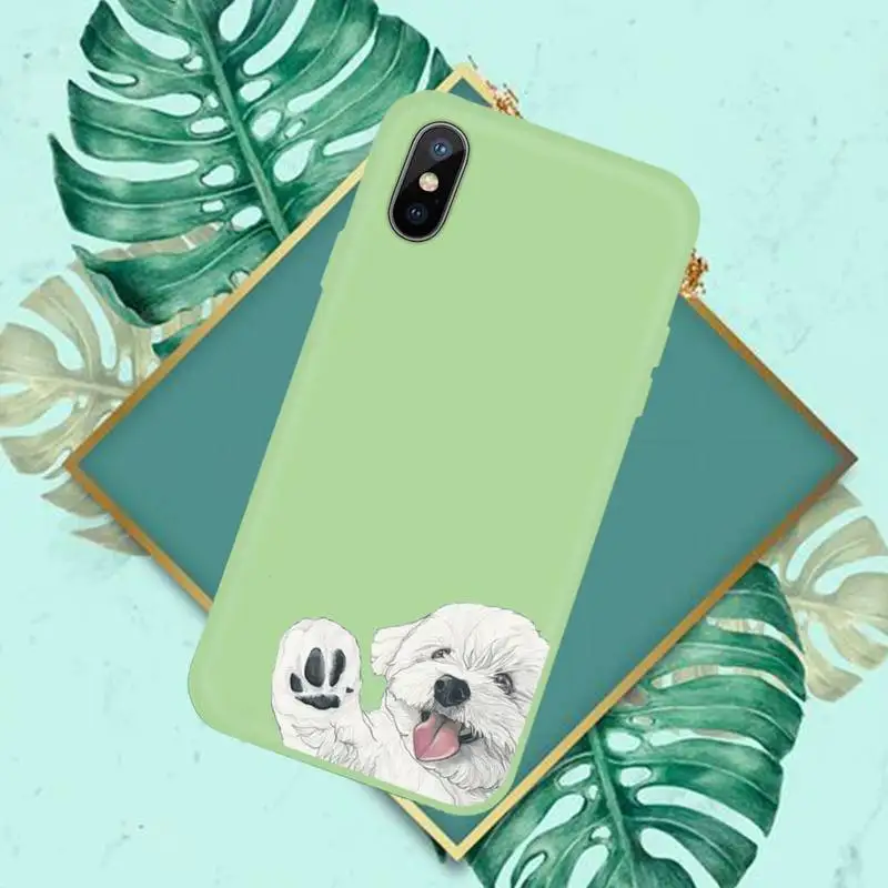 Pug Dog French Bulldog Phone Case Candy Color for iPhone 6 7 8 11 12 s mini pro X XS XR MAX Plus
Pug Dog French Bulldog Phone Case Candy Color for iPhone 6 7 8 11 12 s mini pro X XS XR MAX Plus