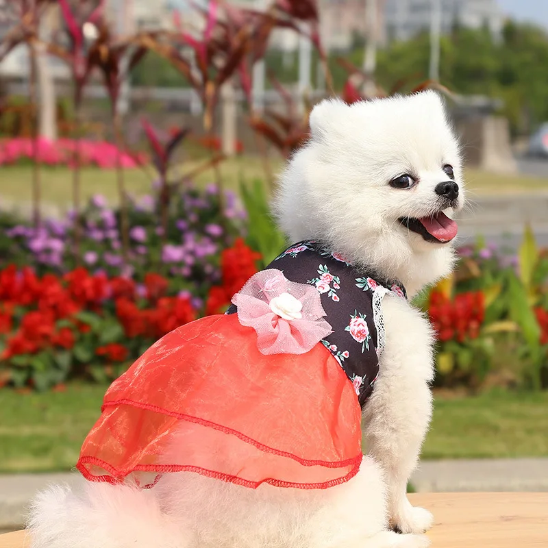 New dog cat floral princess dress hanbok style pet supplies small and medium-sized dog wedding dress
New dog cat floral princess dress hanbok style pet supplies small and medium-sized dog wedding dress