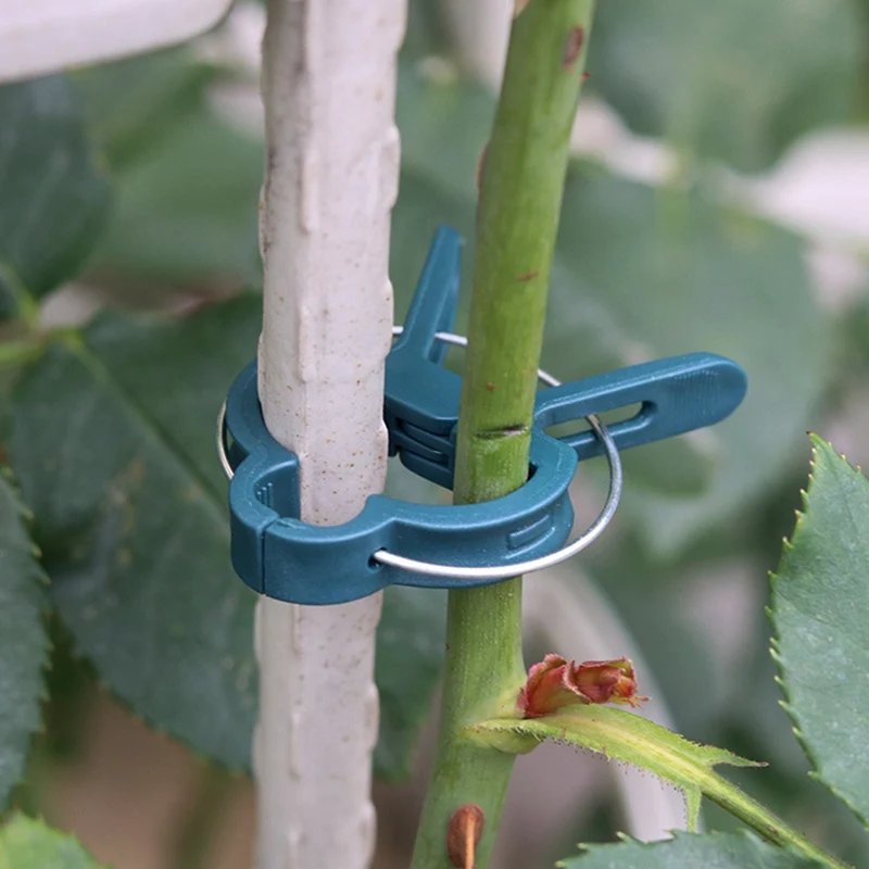 40PCS Plant Clips Gardening Clips Supporting Stems Stalks And Vines Plants Flower Garden Tool
40PCS Plant Clips Gardening Clips Supporting Stems Stalks And Vines Plants Flower Garden Tool