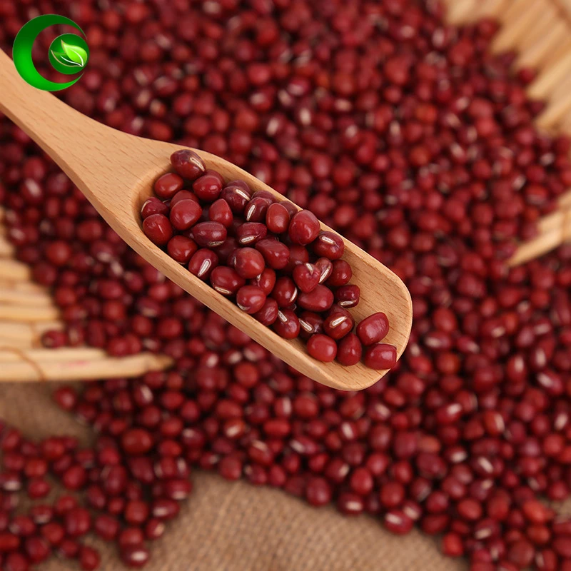 Red Beans Red Bean Ormosia Jumble Beads Azuki Bean Hongdou Ormosia Jequirity Jumble Beads
Red Beans Red Bean Ormosia Jumble Beads Azuki Bean Hongdou Ormosia Jequirity Jumble Beads