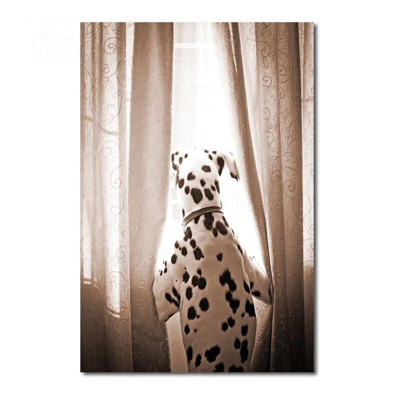 Animals Poster Card Wall Stickers Dalmatian Yearning for Freedom Home Aesthetic Decoration Inkjet Craft Canvas Painting
Animals Poster Card Wall Stickers Dalmatian Yearning for Freedom Home Aesthetic Decoration Inkjet Craft Canvas Painting