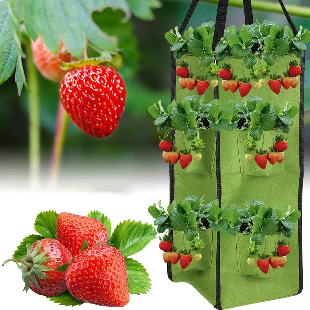Hanging Growing Bags Felt Planting Bag Strawberry Planter with 8 Pockets Cultivation Container for Fruit Flowers Vegetable
Hanging Growing Bags Felt Planting Bag Strawberry Planter with 8 Pockets Cultivation Container for Fruit Flowers Vegetable