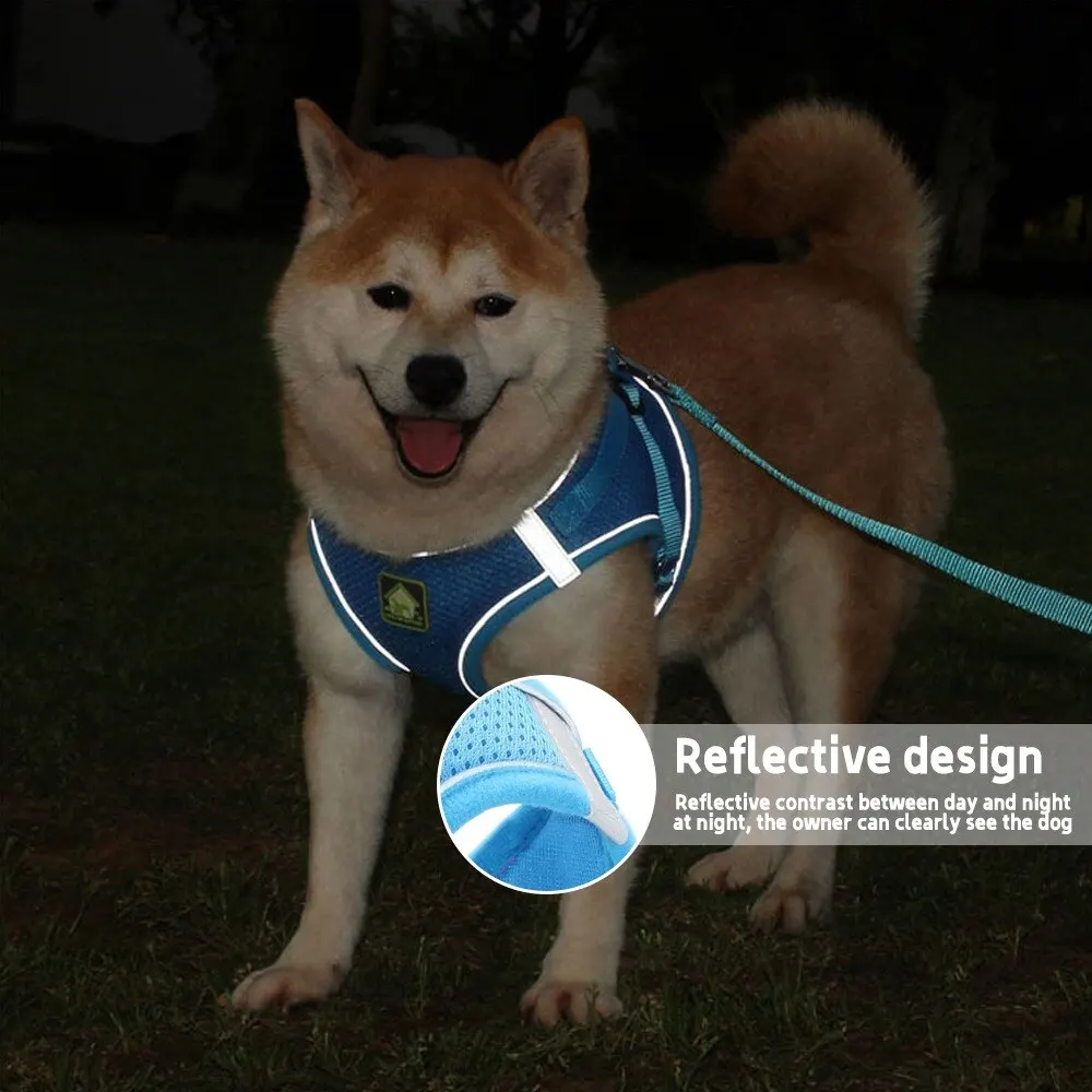 Dog Harness with Leash Summer Pet Adjustable Reflective Vest Walking Lead for Puppy Polyester Mesh Harness for Small Medium Dog
Dog Harness with Leash Summer Pet Adjustable Reflective Vest Walking Lead for Puppy Polyester Mesh Harness for Small Medium Dog