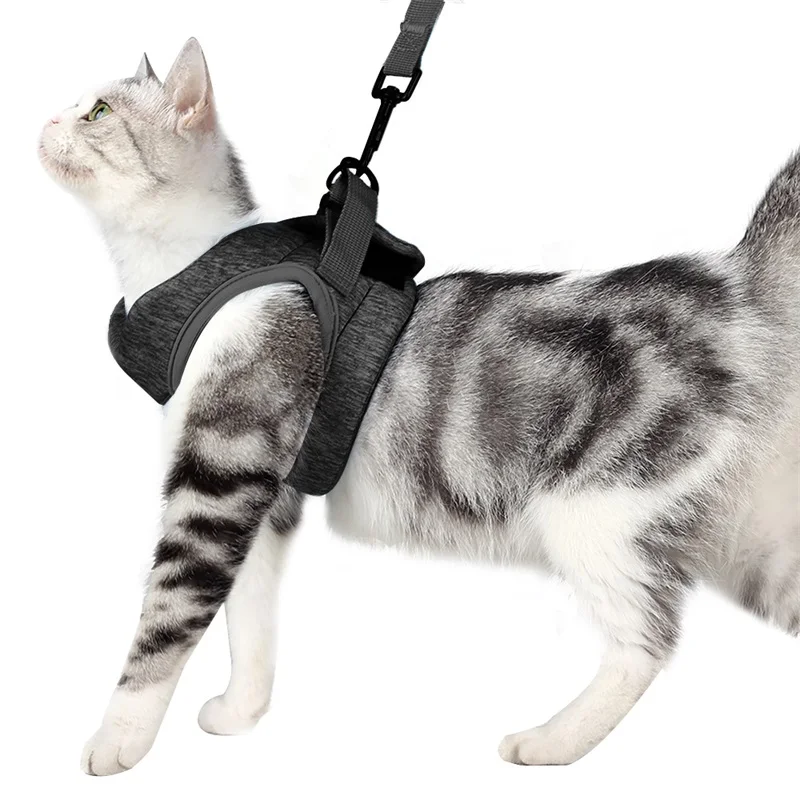 Comfortable Puppy Cat Harness Vest with Walking Lead Leash Adjustable Kitten Collar Polyester Dog Harness for Small Medium Dogs
Comfortable Puppy Cat Harness Vest with Walking Lead Leash Adjustable Kitten Collar Polyester Dog Harness for Small Medium Dogs