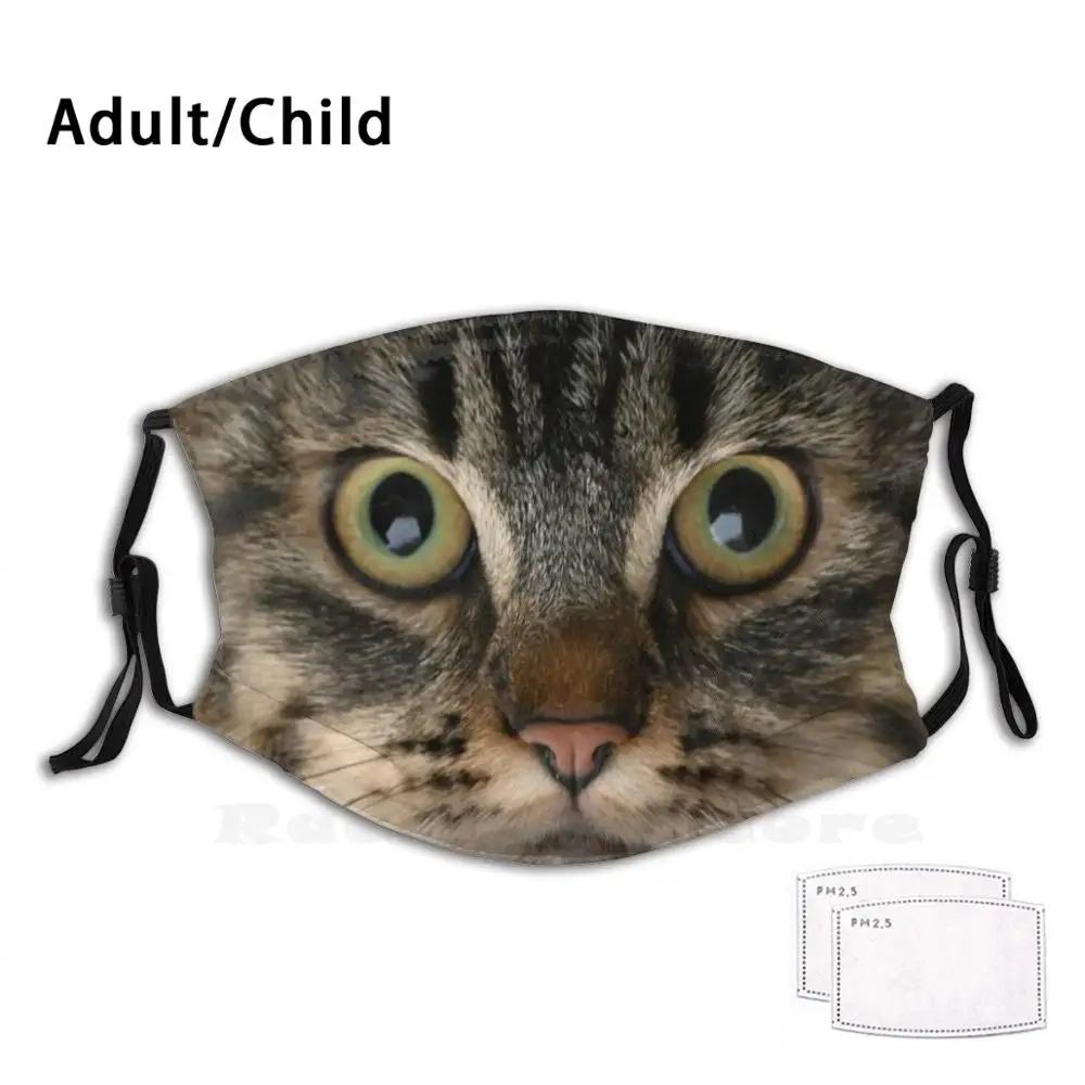 Siberian Cat Funny Print Reusable Pm2.1115 Filter Face Mask Eye View Sweet Siberian Cat Cat Cute Cats Funny Animal Kitten
Siberian Cat Funny Print Reusable Pm2.1115 Filter Face Mask Eye View Sweet Siberian Cat Cat Cute Cats Funny Animal Kitten