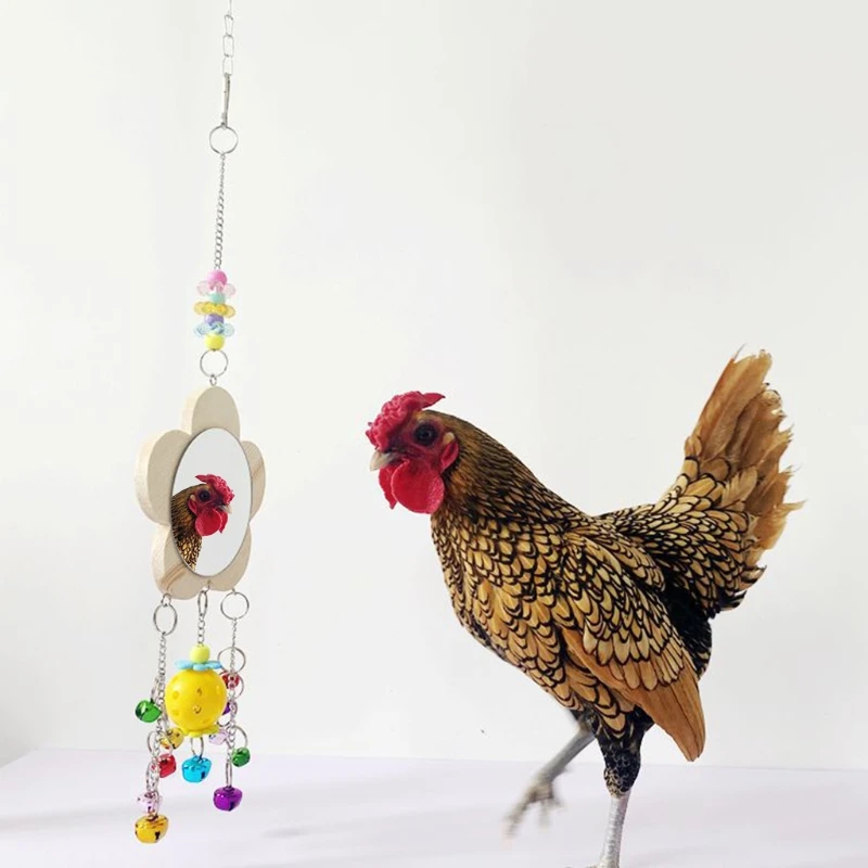 Chicken Toys for Hens Chicken Mirror Toy with Aeolian Bells for Pet Birds T21C
Chicken Toys for Hens Chicken Mirror Toy with Aeolian Bells for Pet Birds T21C
