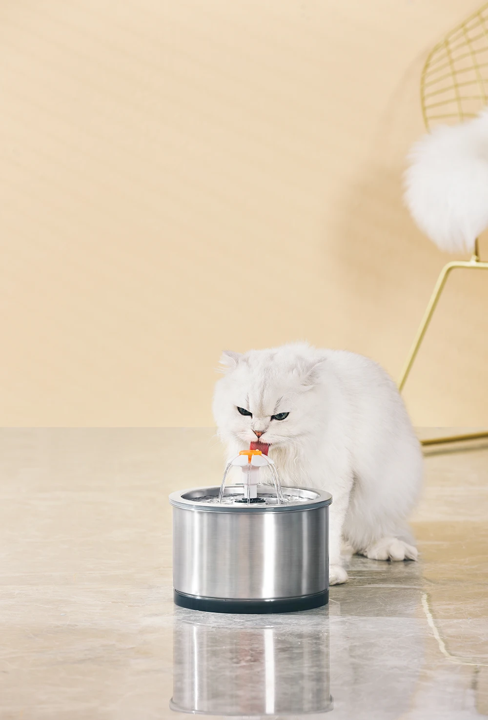 Automatic Electeric Circulating Stainless Steel Pets Filter Fountain Cats Dog Water Dispensers Drinking Feeder For Suppliers
Automatic Electeric Circulating Stainless Steel Pets Filter Fountain Cats Dog Water Dispensers Drinking Feeder For Suppliers