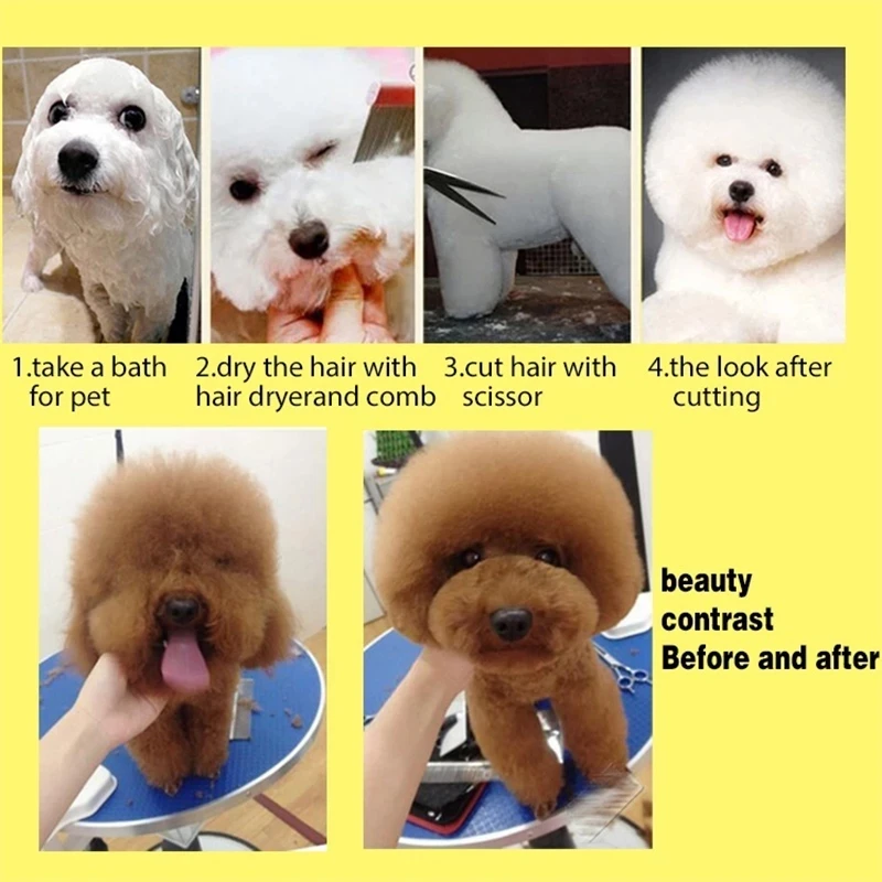 7 Inch 6CR 62HRC Pet Scissors Dog Grooming 5 Piece Scissors Set Cat Scissors Cut Hair Thinning Curved Scissors With Comb Bag
7 Inch 6CR 62HRC Pet Scissors Dog Grooming 5 Piece Scissors Set Cat Scissors Cut Hair Thinning Curved Scissors With Comb Bag